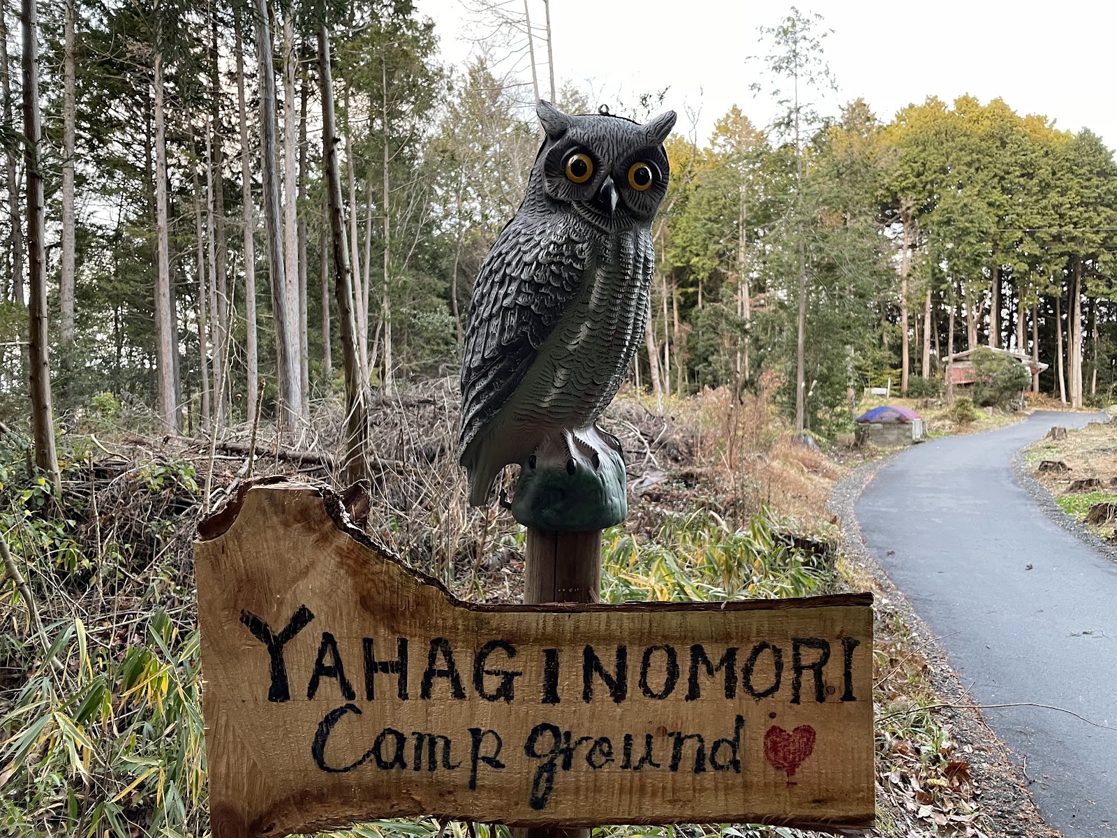 Rừng Yahagi Tsukubo