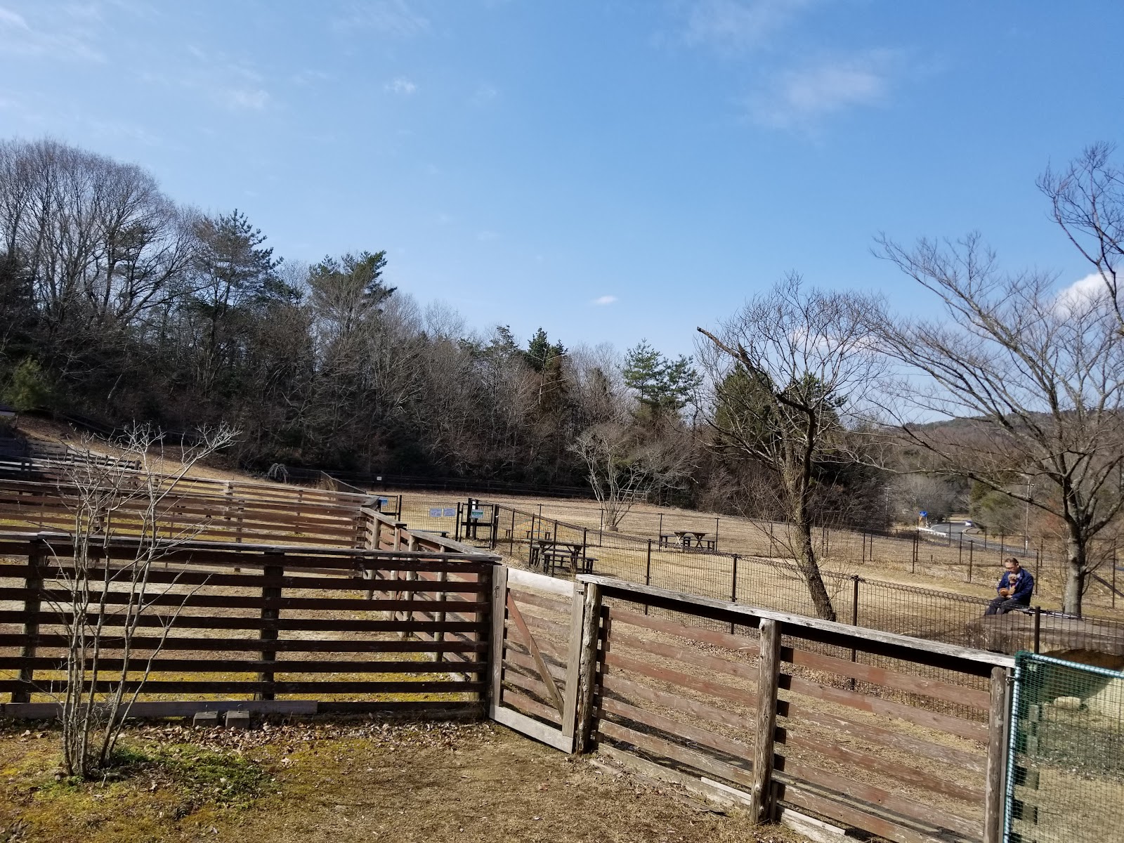 Asobi Forest Guriin Fiirudo Dogguran＆ Camping