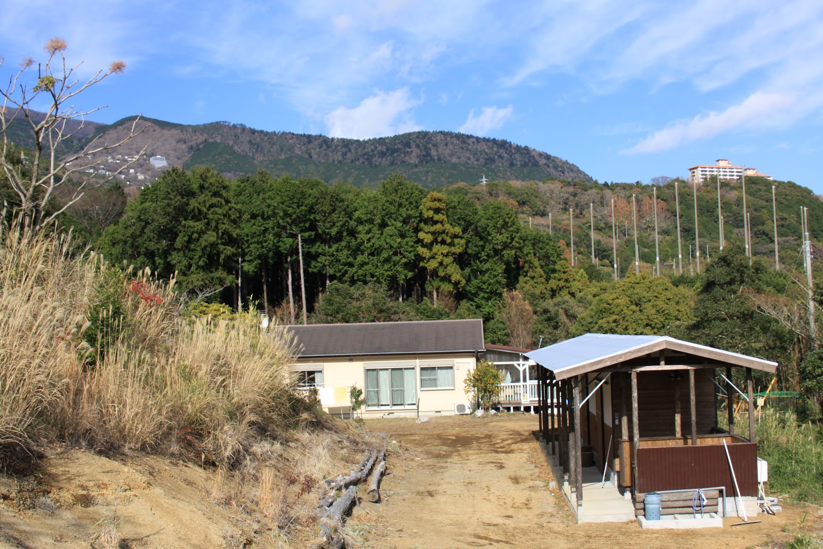 Khu cắm trại 『Deer Trail』