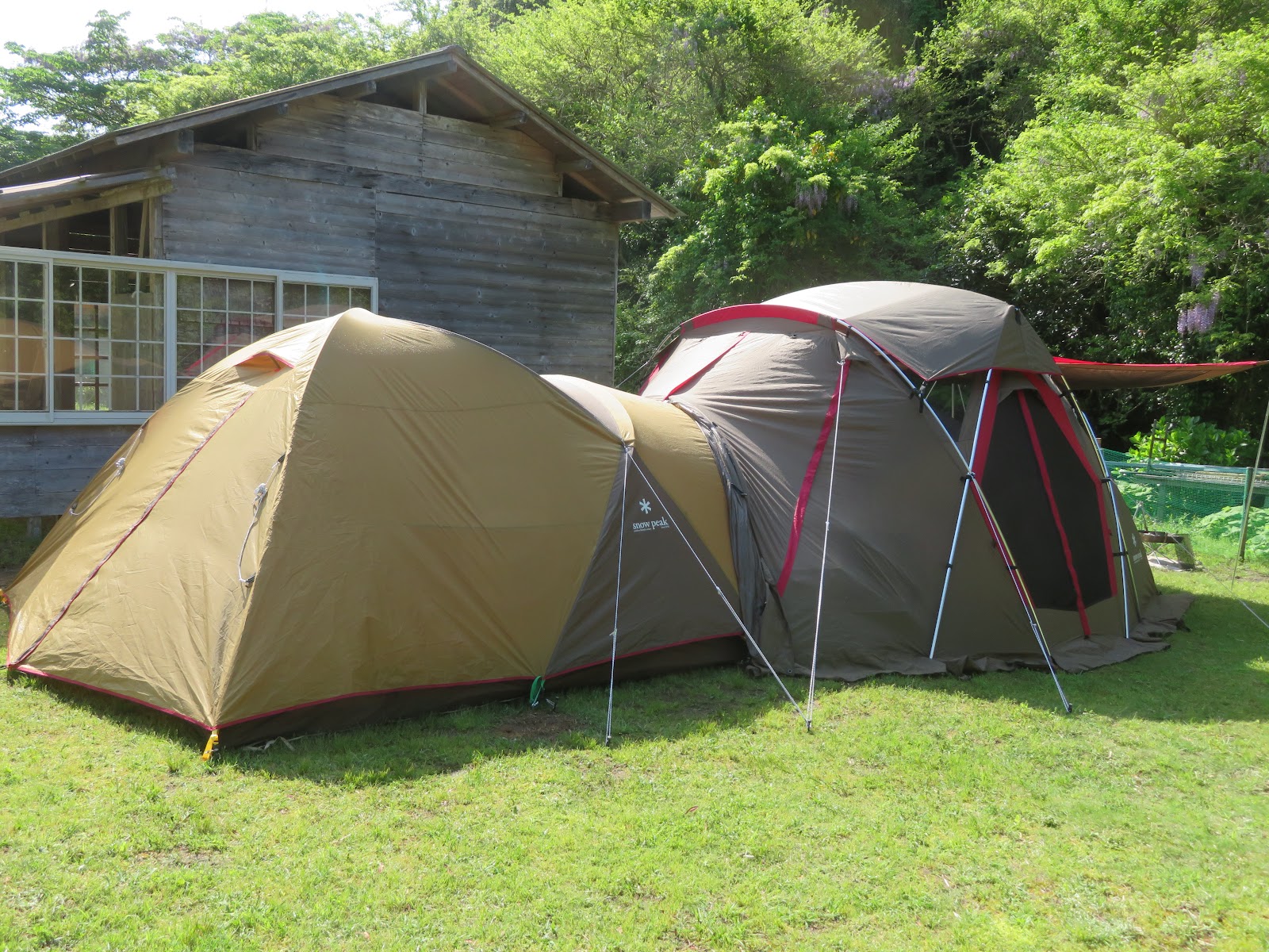 Pepaaminto In Camping