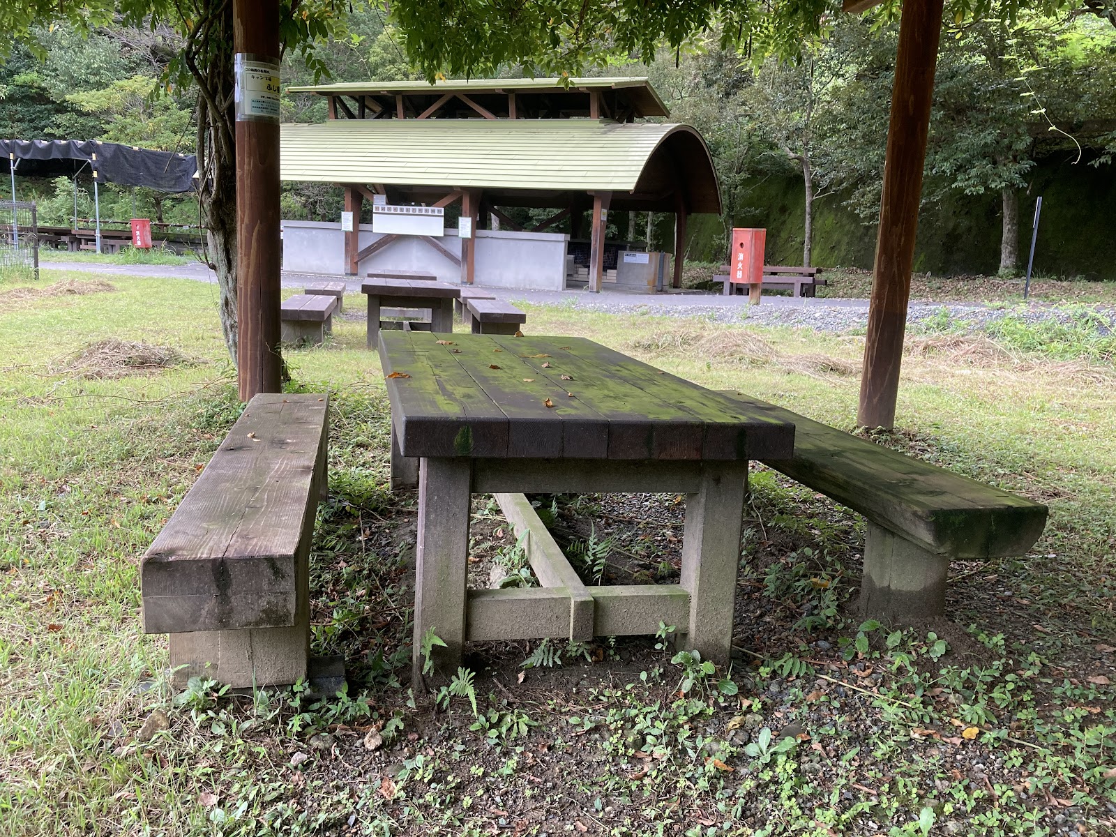 Khu cắm trại 🏕️Shizuokaken Ritsu Shinrin Công viên Dei