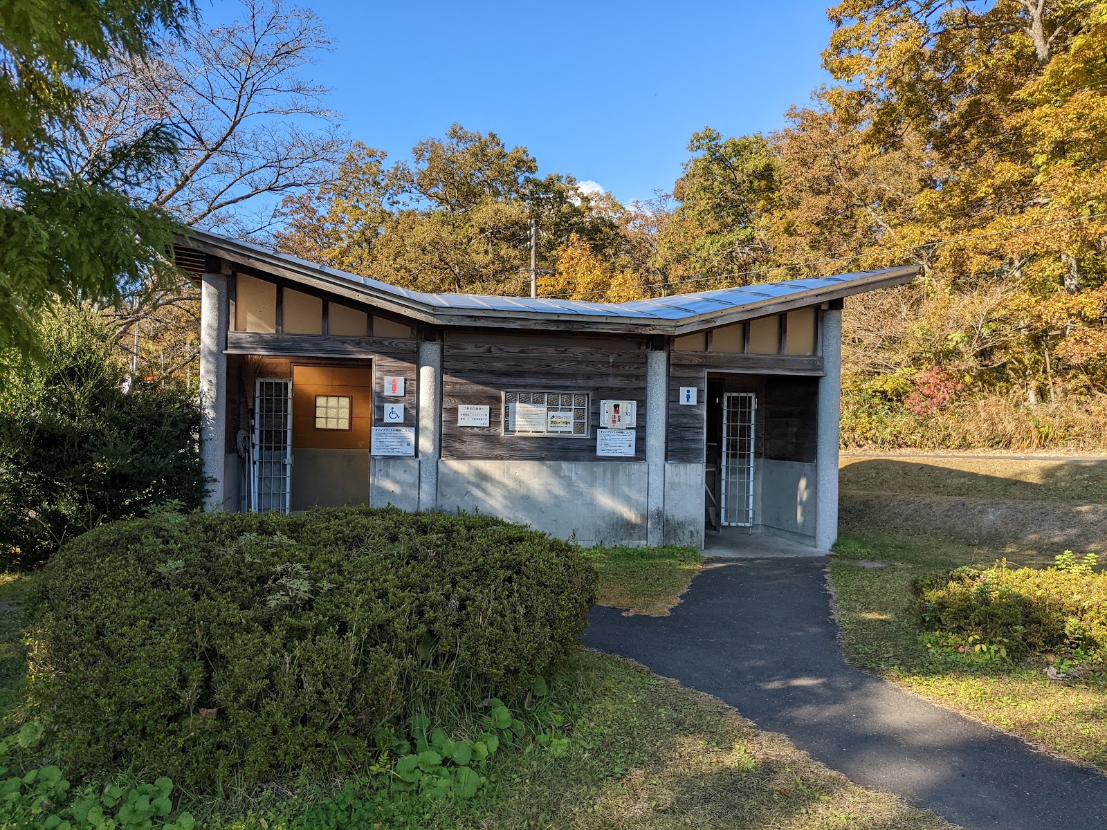 Wood Eggu Outdoor Park