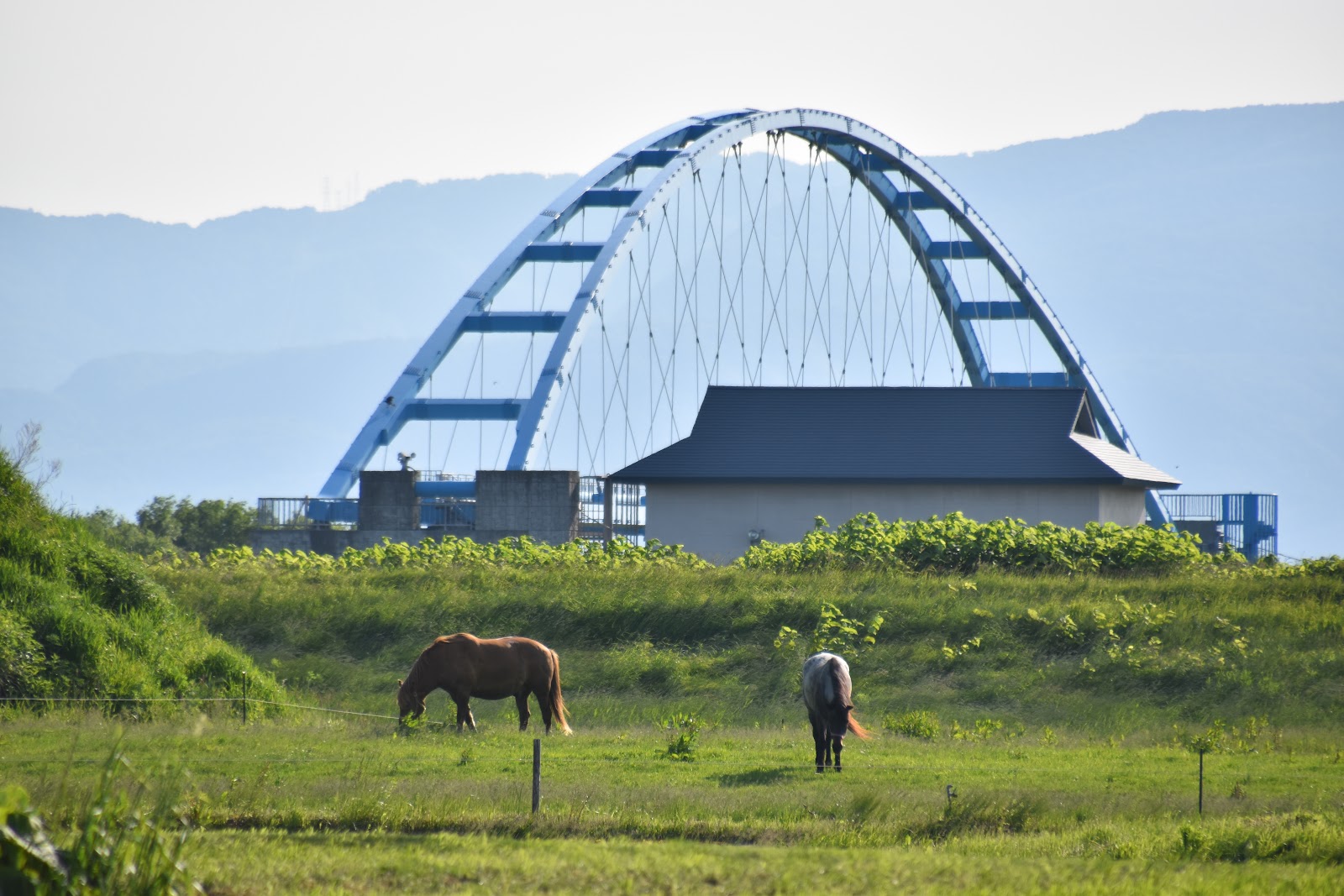 Aasudoriimu Tsunoyama Noujou Baiten