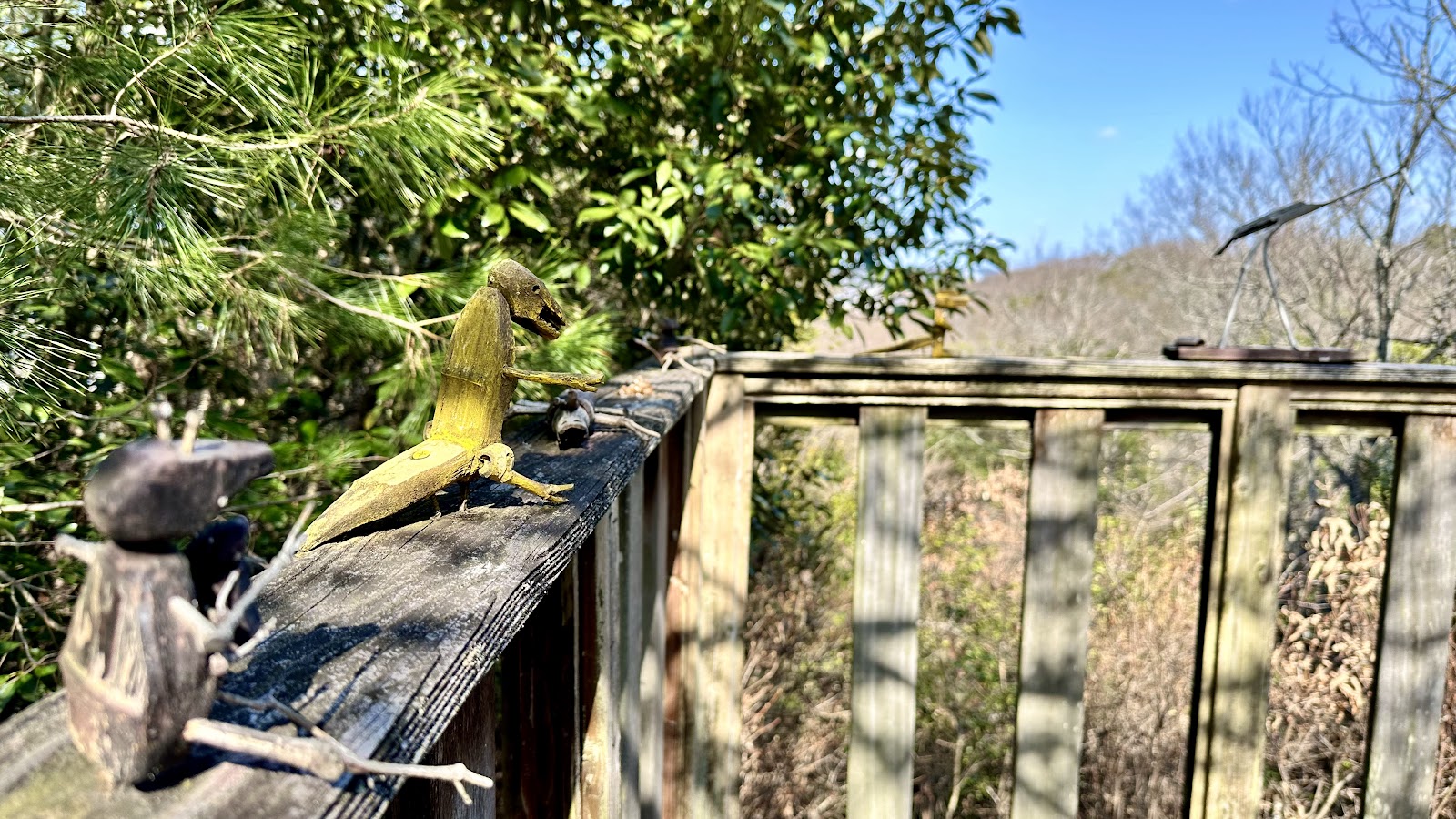 Miki Hoosurando Park Eo Forest Kyanpingu Center
