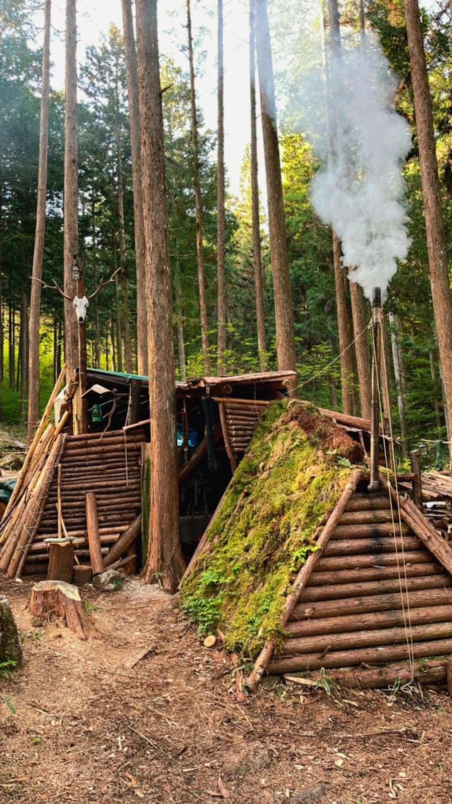 Cắm trại forenta Gen Fuji Eria