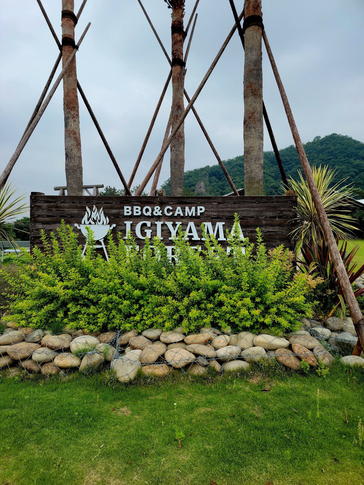 Rừng Iki Yama Wairudo Khu vực