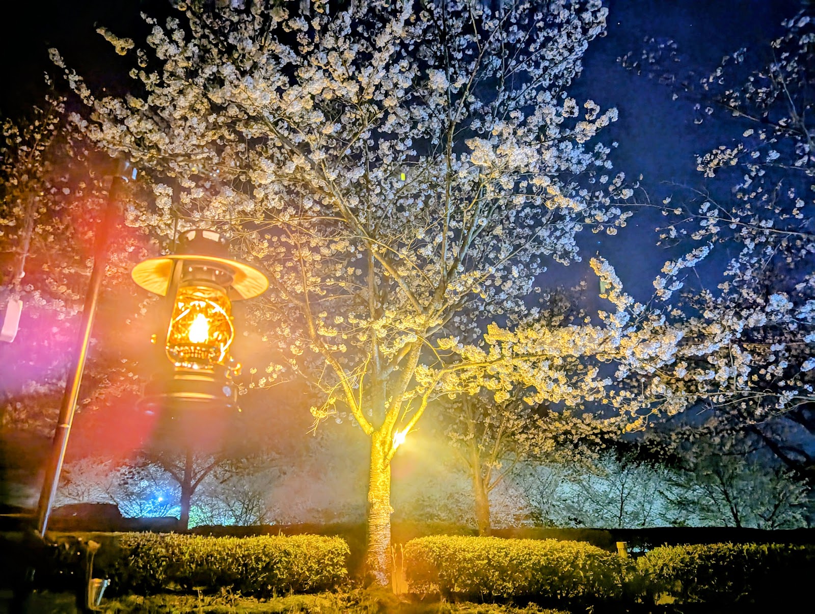 Kanmuriyama Sougou Park Auto Campground