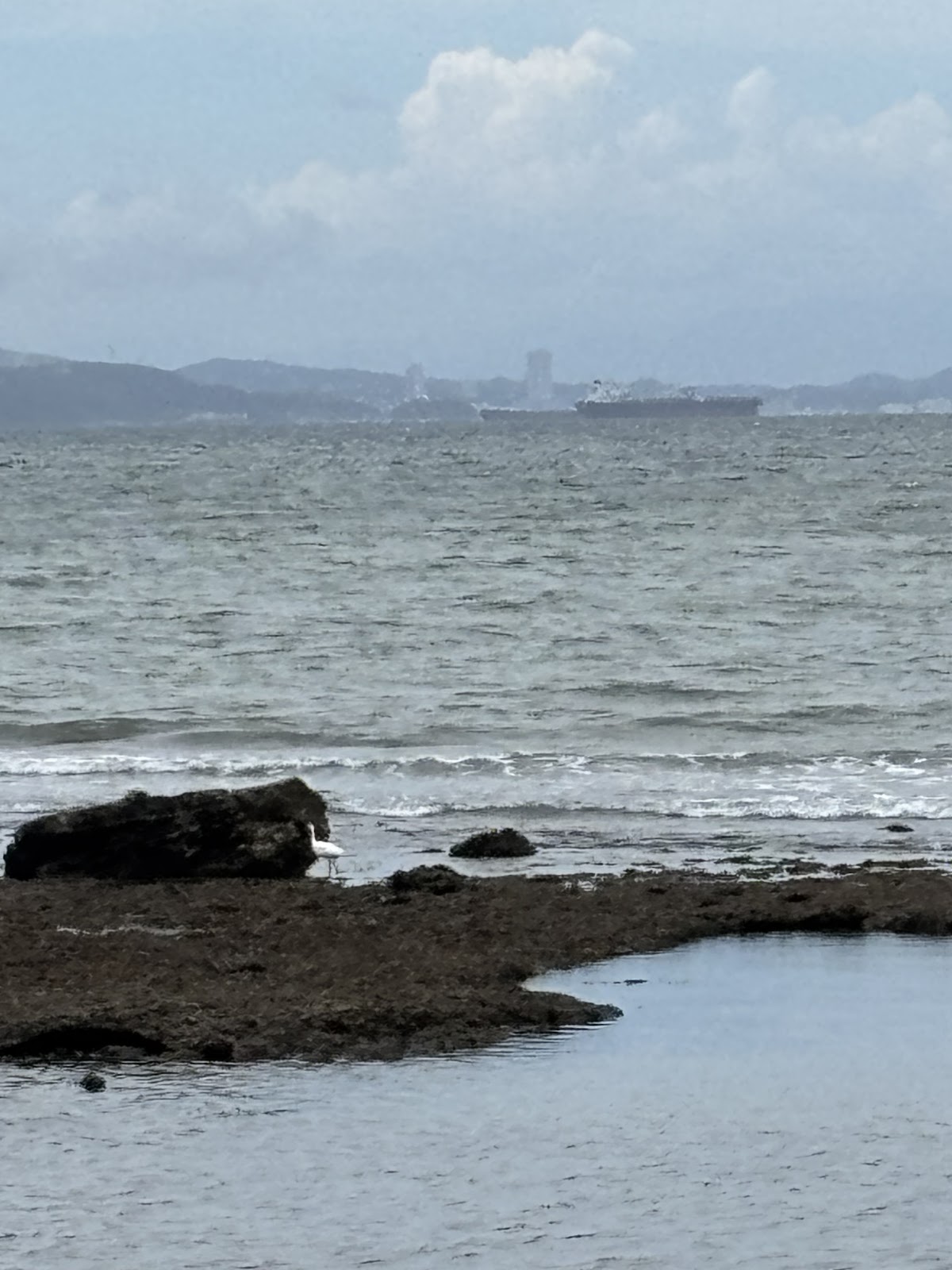 Booisukauto Futtsu Dai１Dan Yaeijou