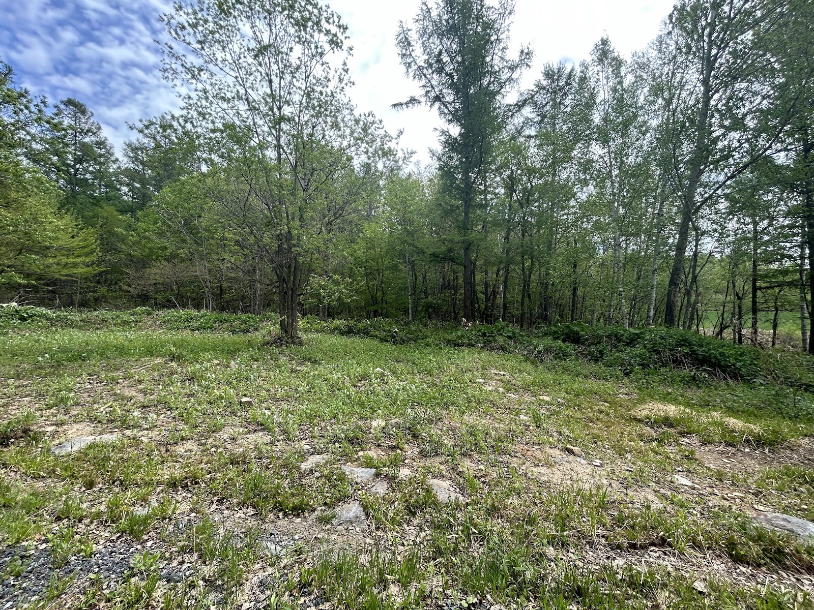 Forenta - HOKKAIDOFurano Camping Eria