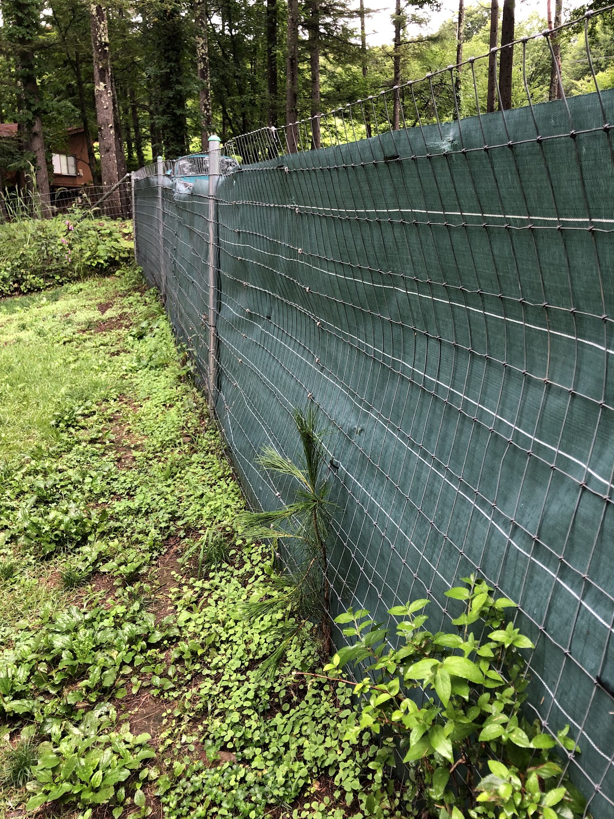 Khu cắm trại Fuji Ken Cao nguyên Dogguran