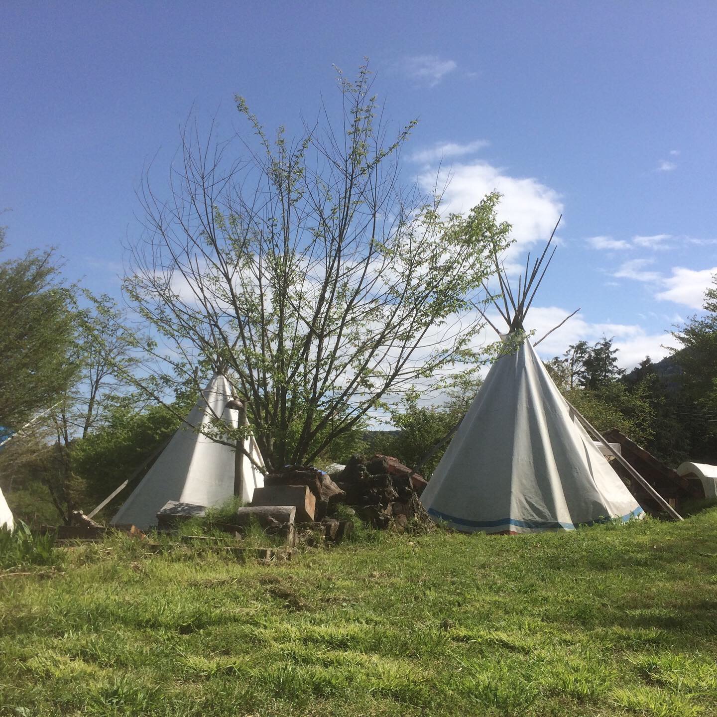 Ritorunoosukyanpinguguraundo