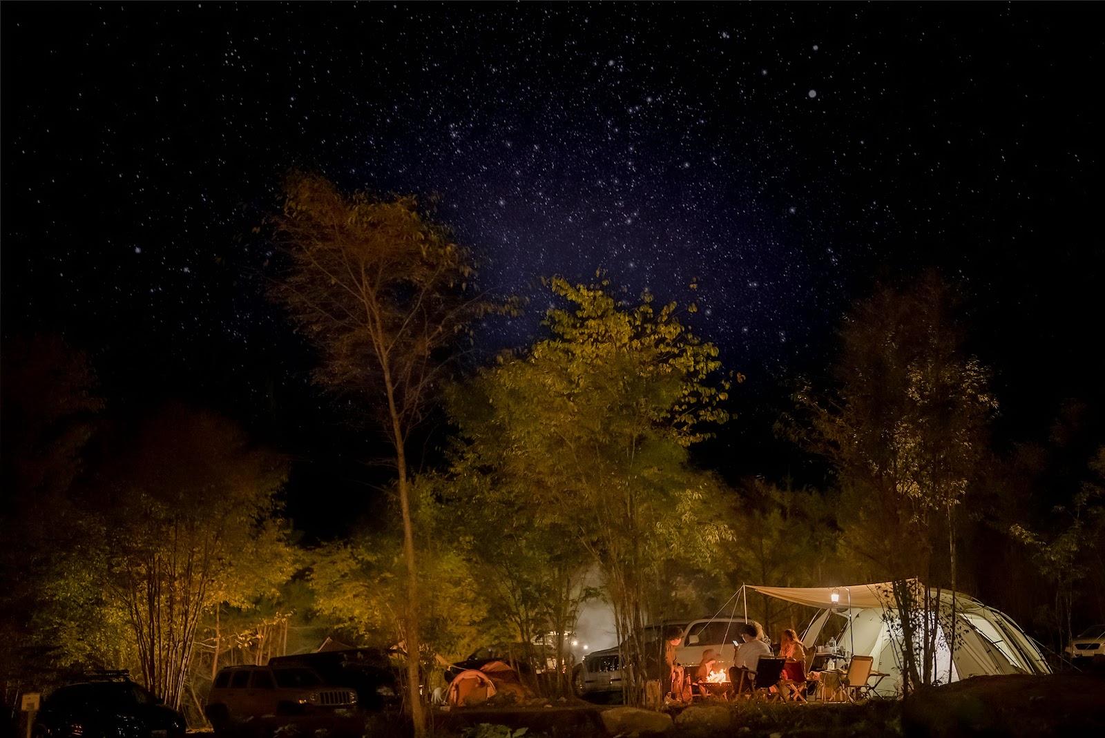 Rừng Shirasu ・ Hoshi Kage CampTown