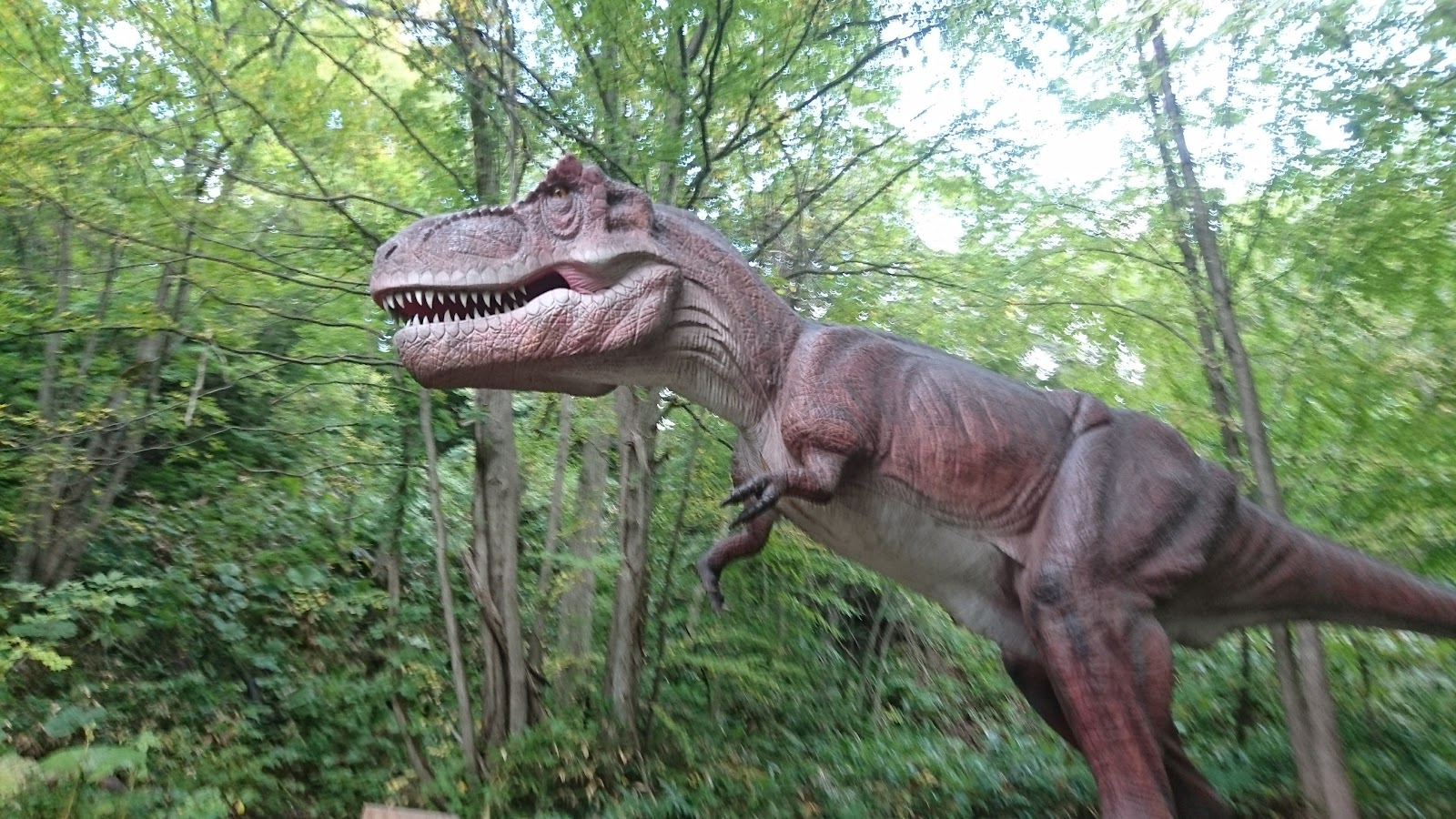 Cắm trại Jurashikku