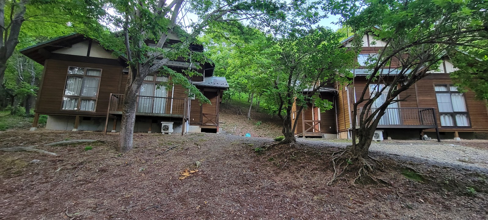 Rừng Monju Lều Khu vực