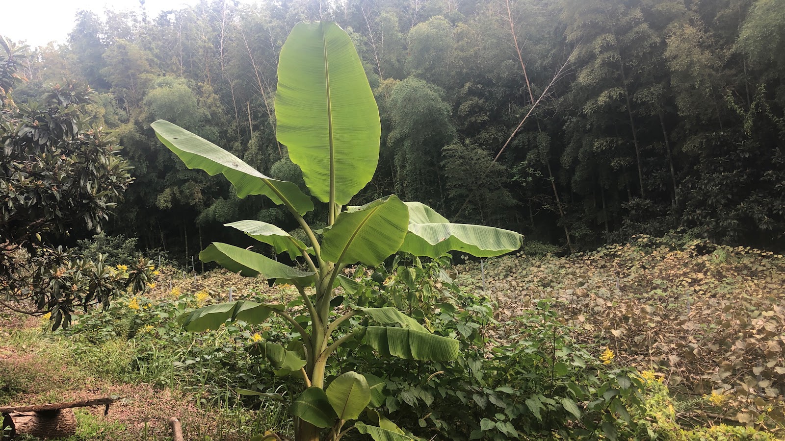Cắm trại organic farm oi in camping Riêng tư