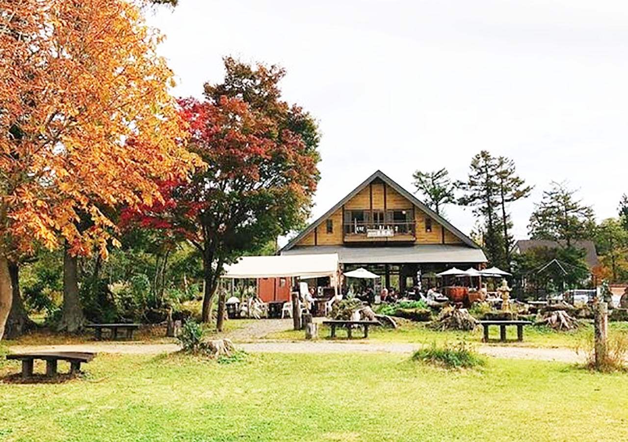 IMORI CAMPSITE Imori Forest