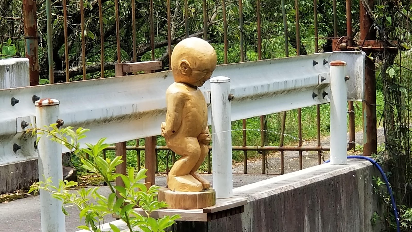 菊川自然活用村