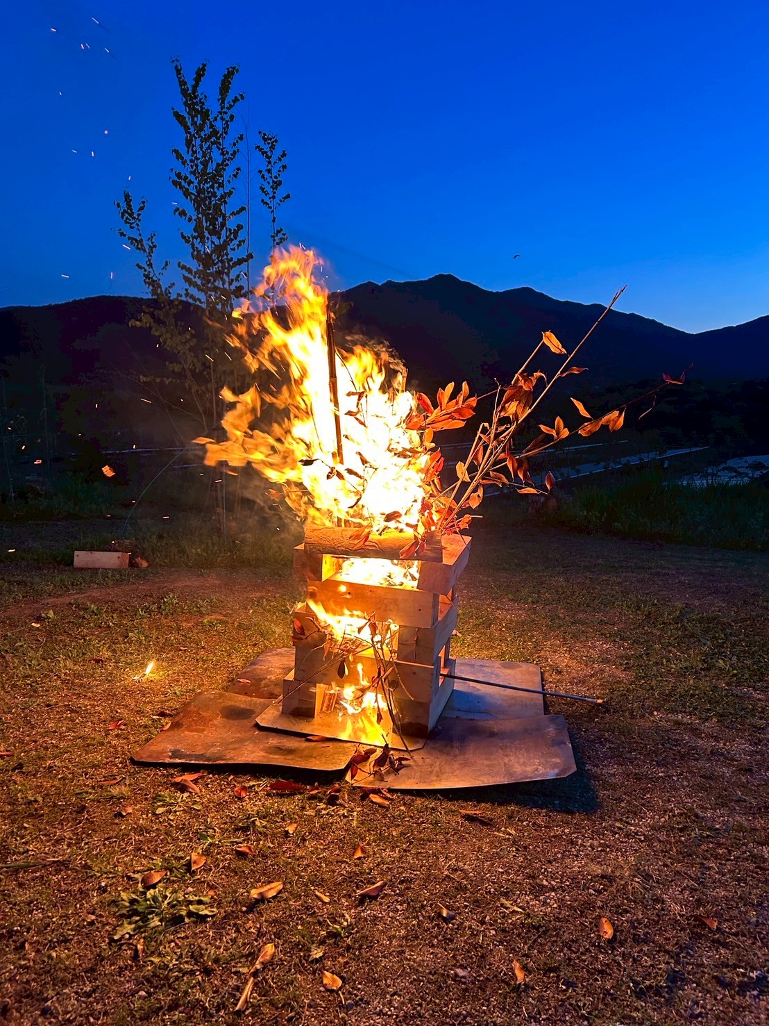 Khu cắm trại Tori Nosaezurito Hoshizora No