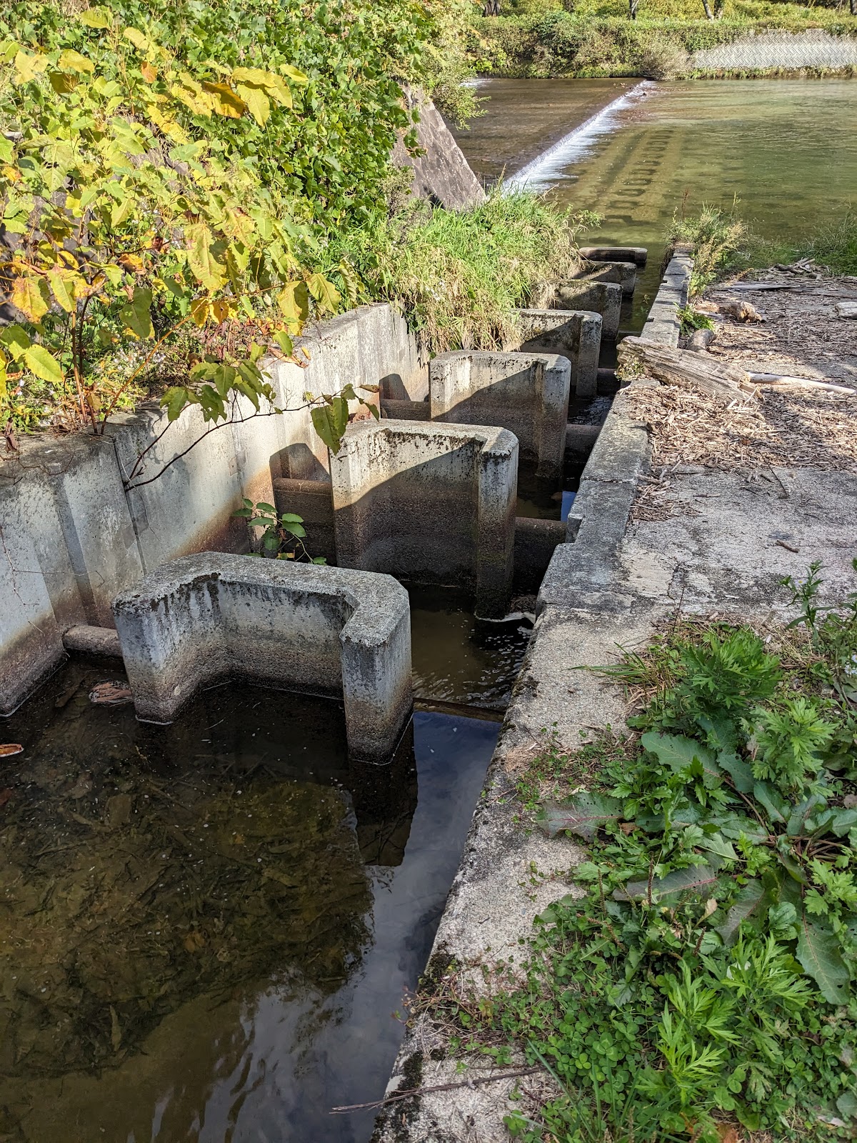 Khu cắm trại Saijou Shirakawa Keiryuu Công viên