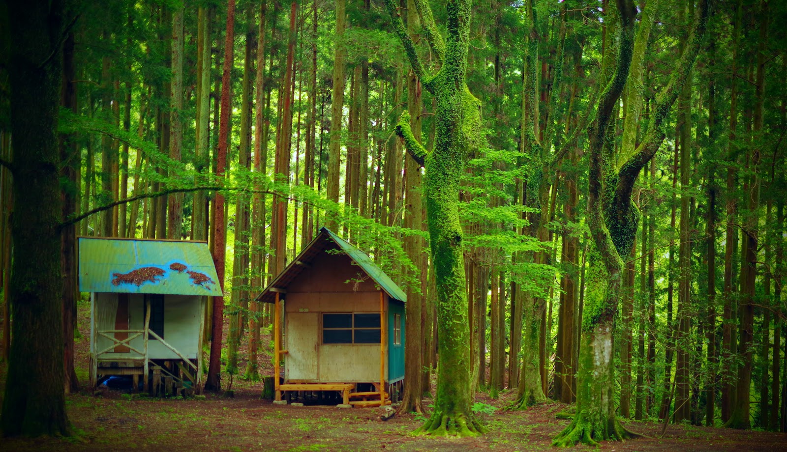 Seishin Kyou Campground