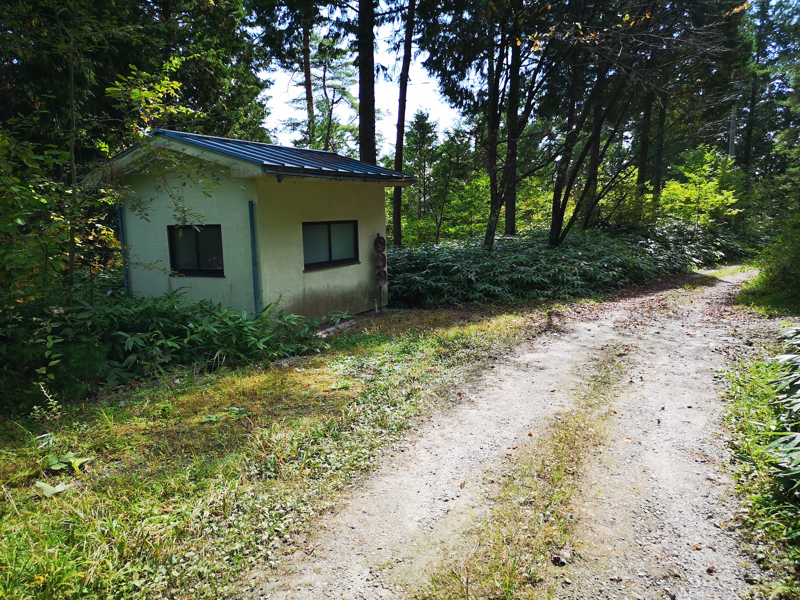 Oomine Highlands Shirakaba Forest Campground