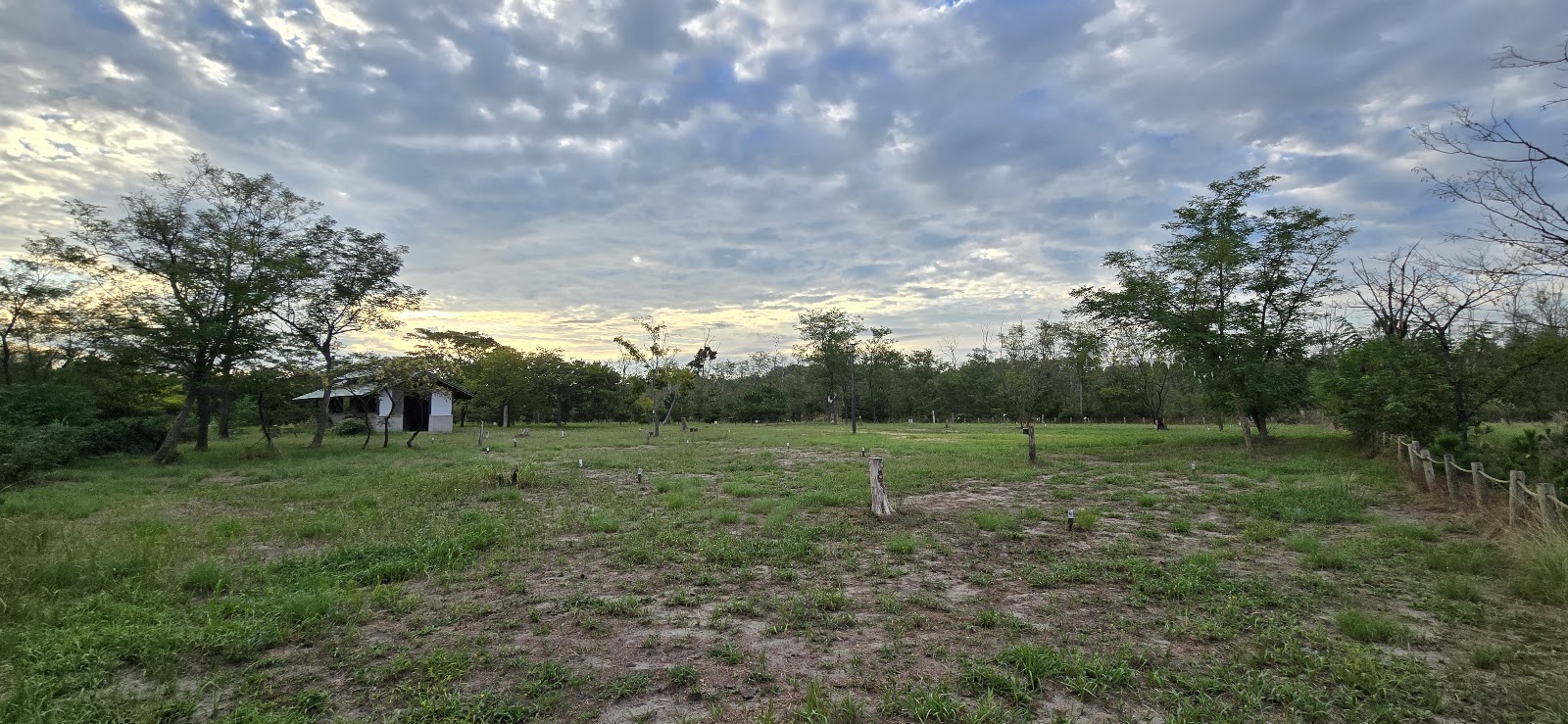 Tent Site Kuromatsu No.3