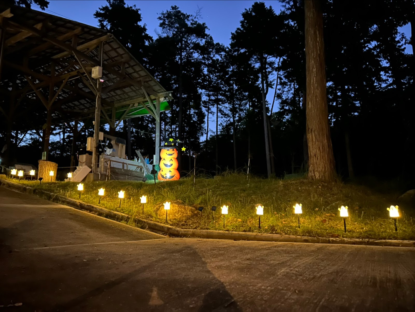 Nose Cao nguyên Guriinfiirudo