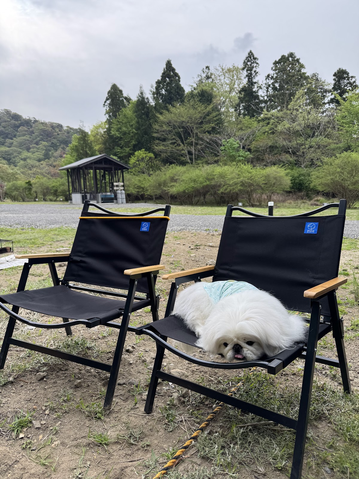 HANABUSACAMP Hanabusa Camping 〕