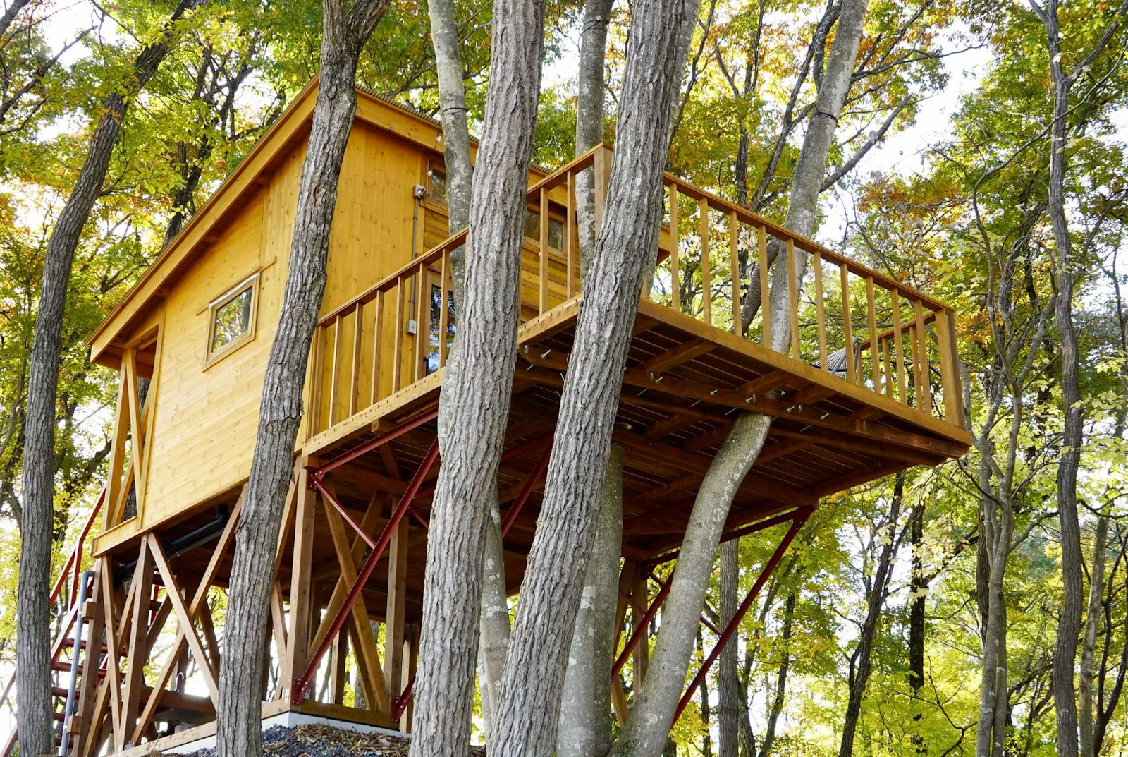 Khu cắm trại TSUNAGARI NO MORI