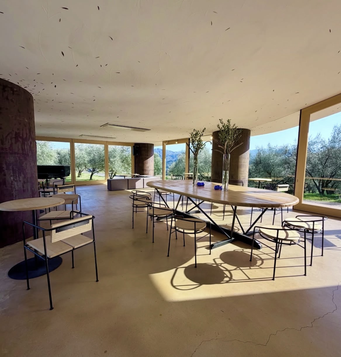 Okioriibu oki olive Kafe