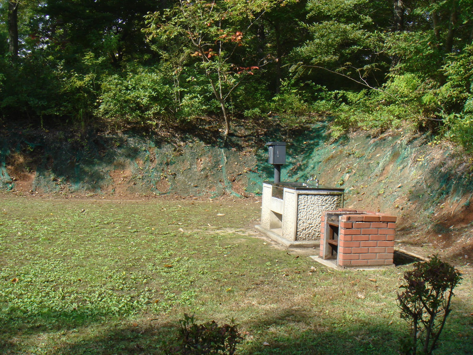 Khu cắm trại xe hơi Kyuukamura Taishakukyou Kunugi Rừng