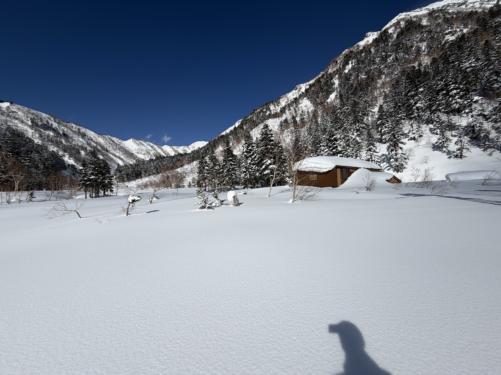 Yari Taira Nhà gỗ Lều Ba