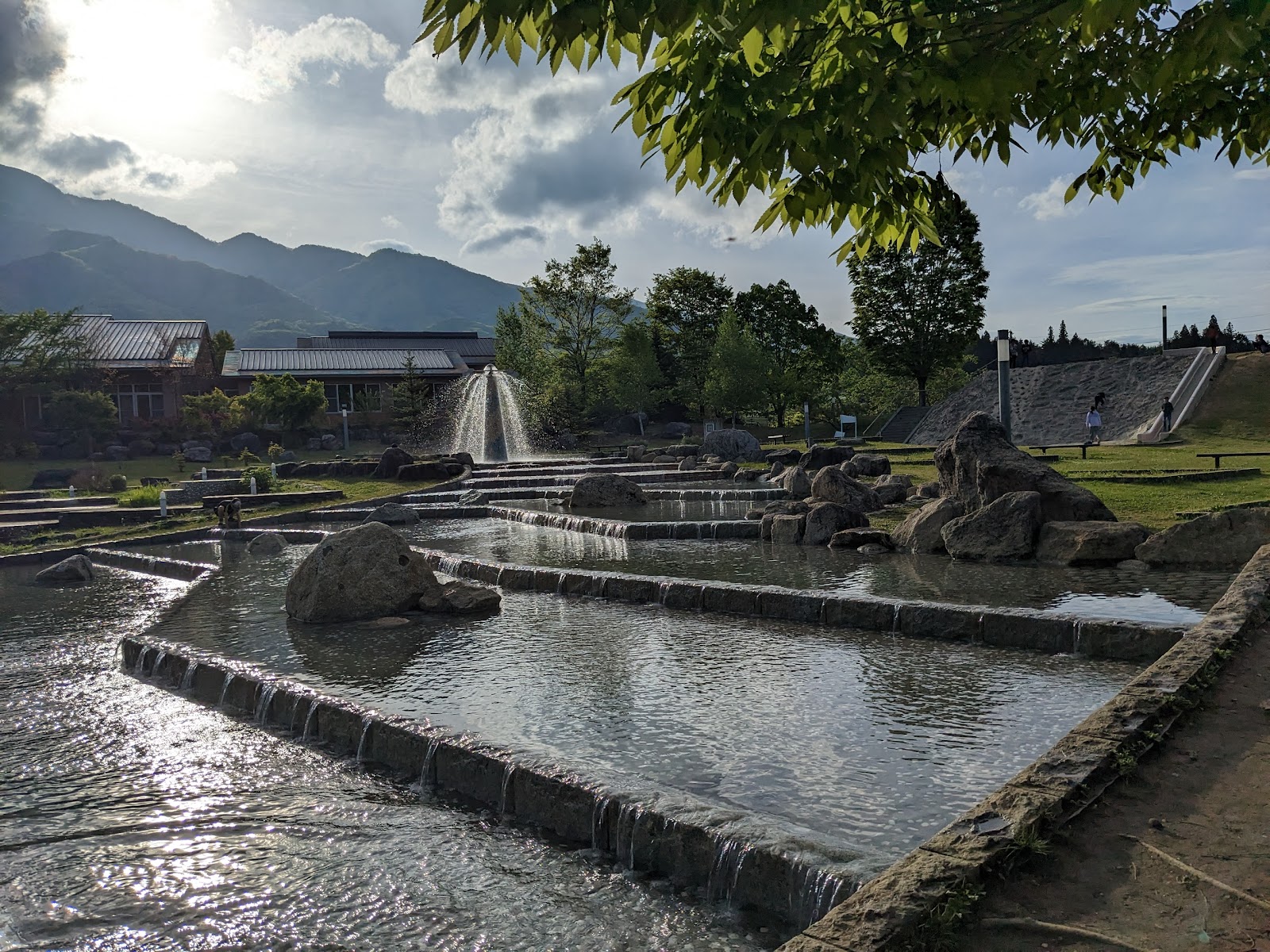 Khu cắm trại Beruga Ojiro Rừng