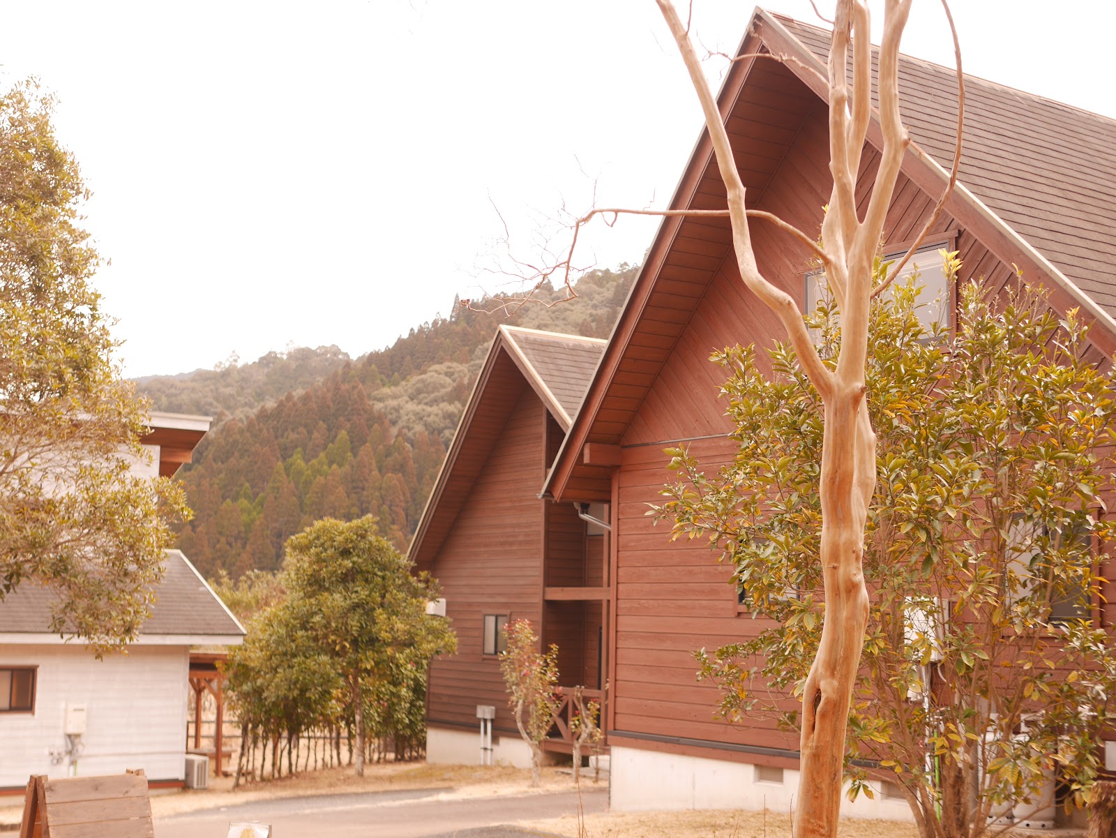 うめキャンプ村
