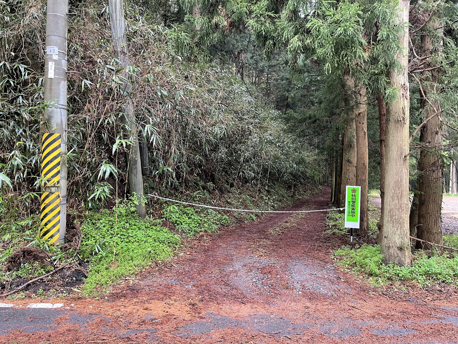 Touryuu Yaei Gijutsu Kunren Ba