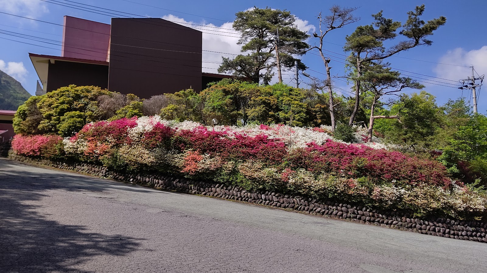 Kujuuyamanami Camping Mura