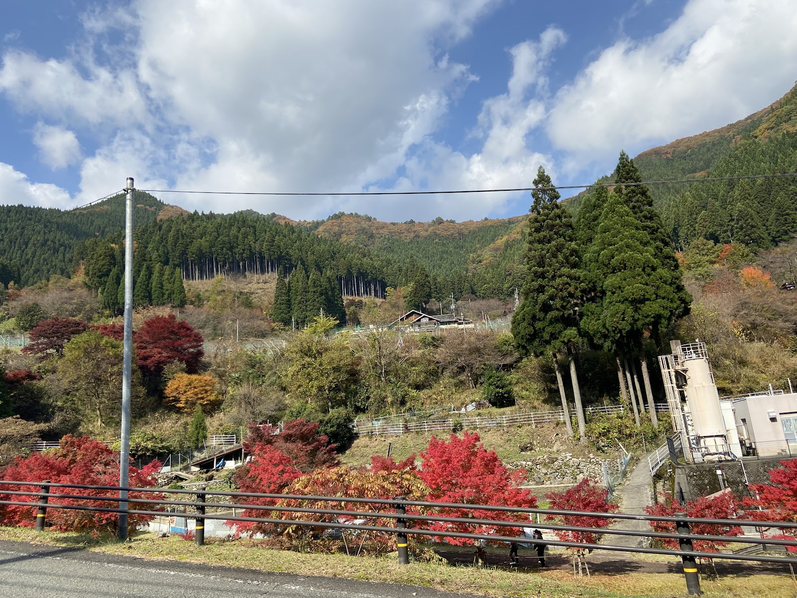 Guriinhausu Michino Oka