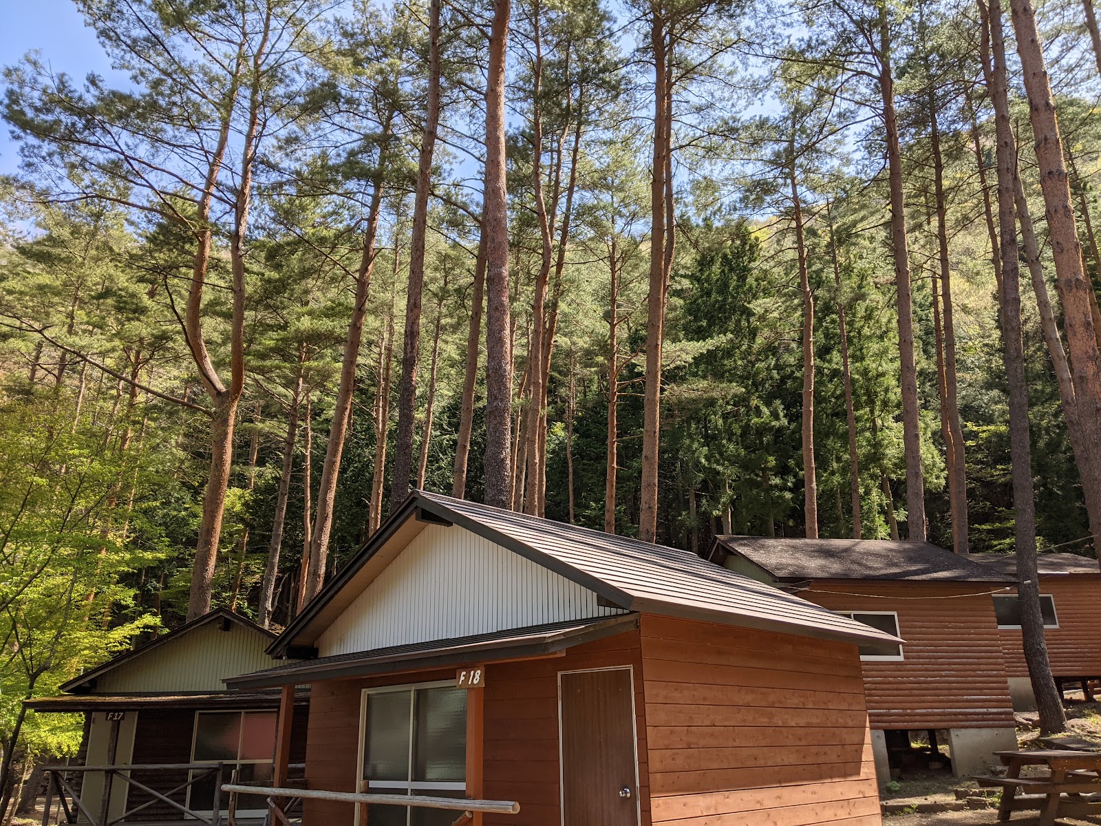 Autumn Leaves Dai Campground