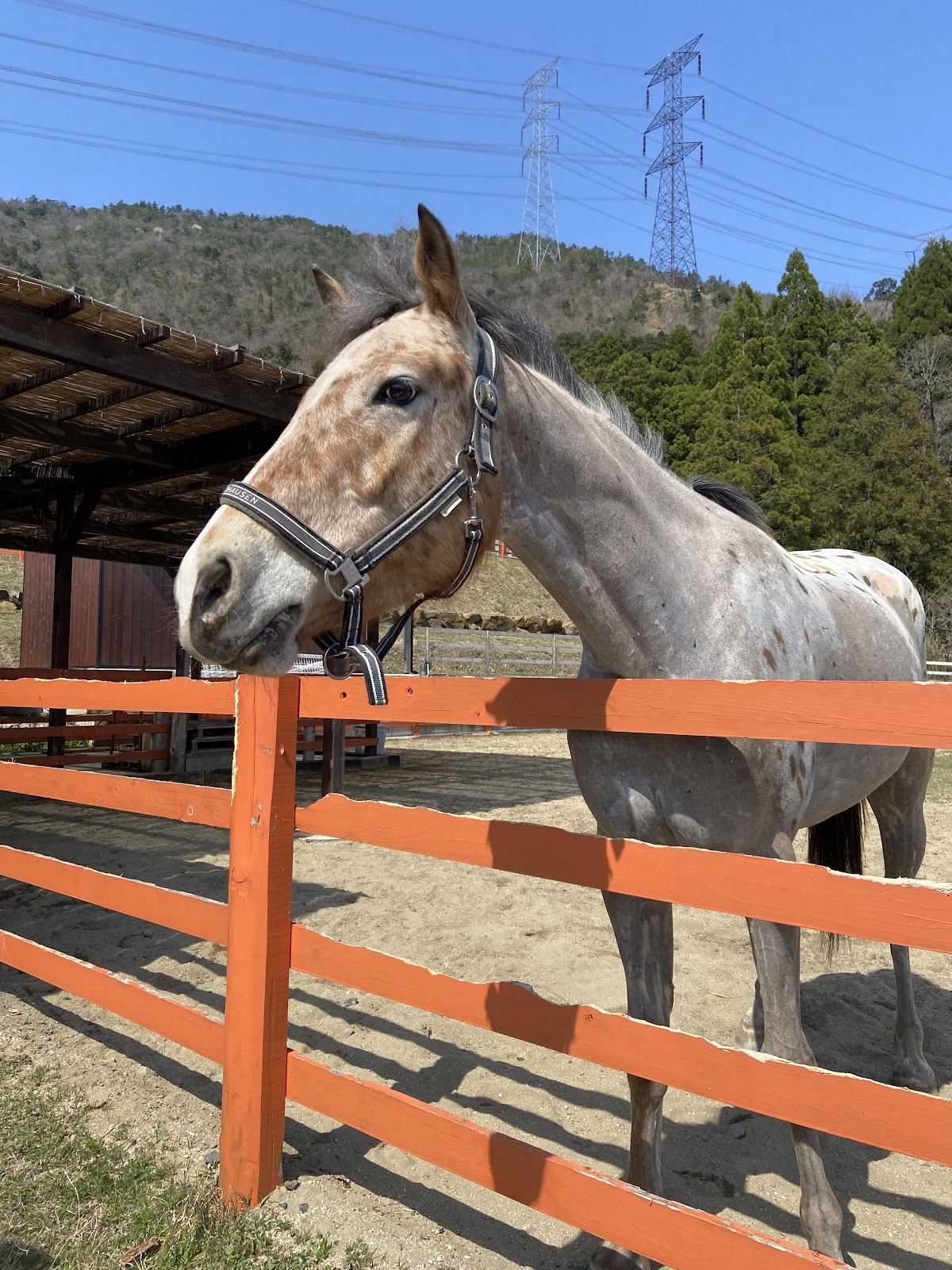 青戸ベイサイドヒルズ