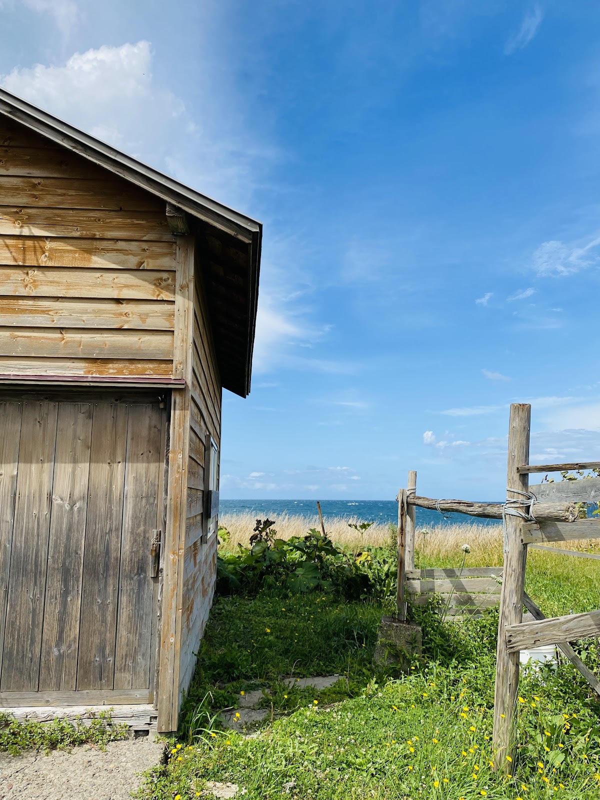 Shokan Kaihin Campground