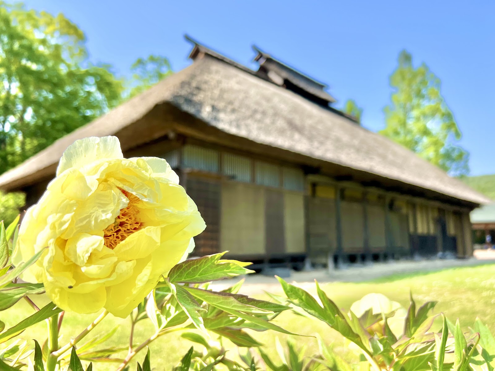 Sendai Shidai Kura Furusato Center