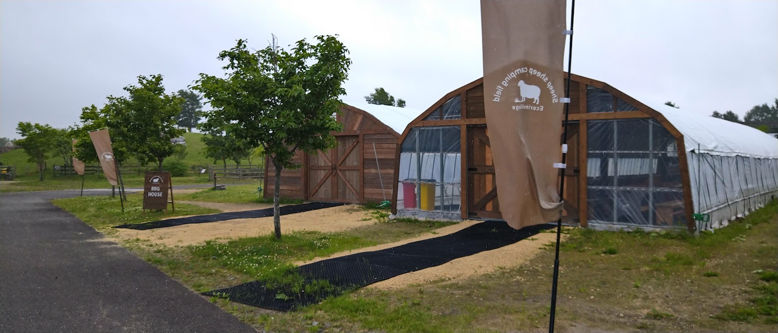 Ekorin Mura Sheep sheep camping field