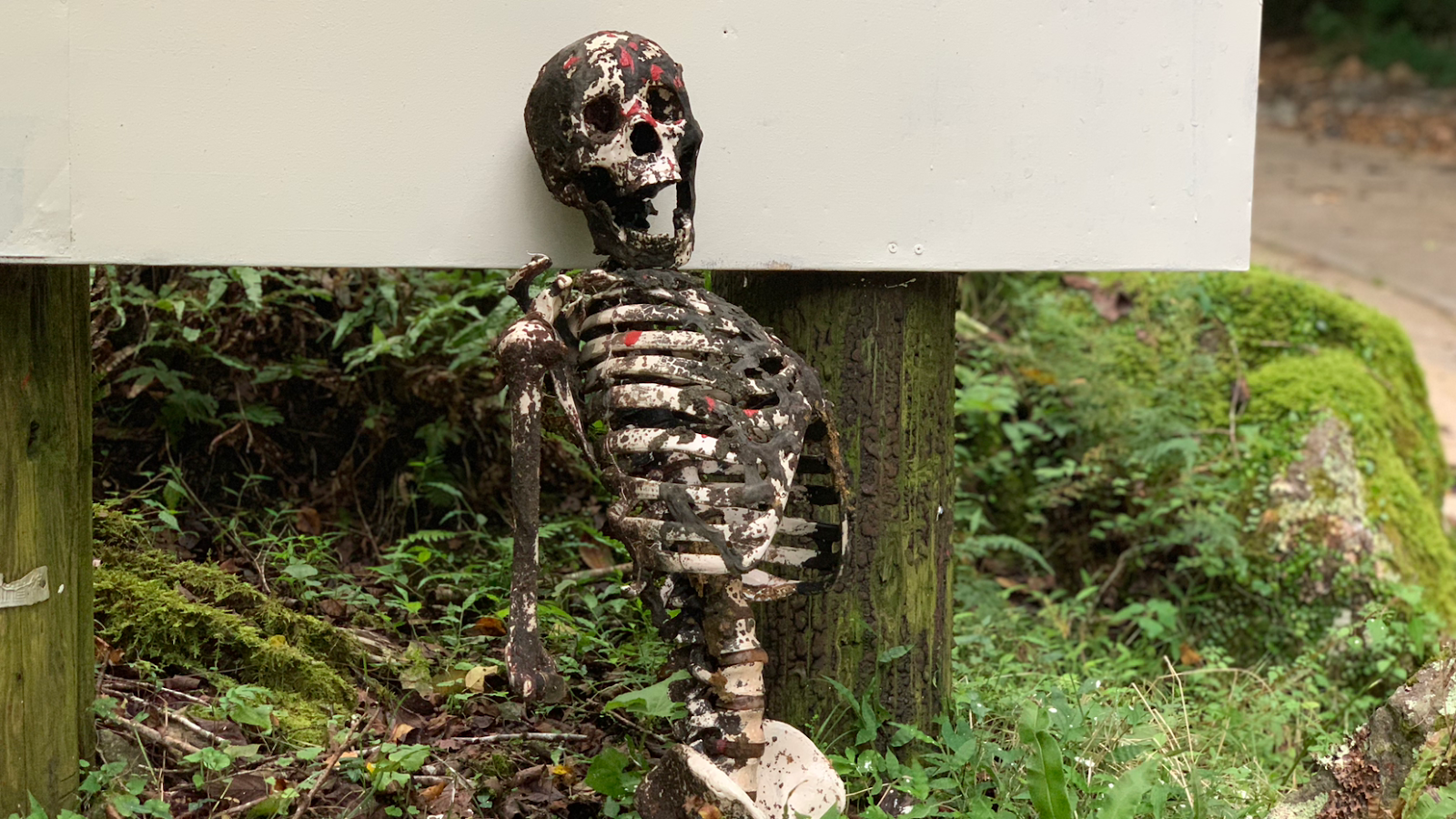 Henna Mura Campground