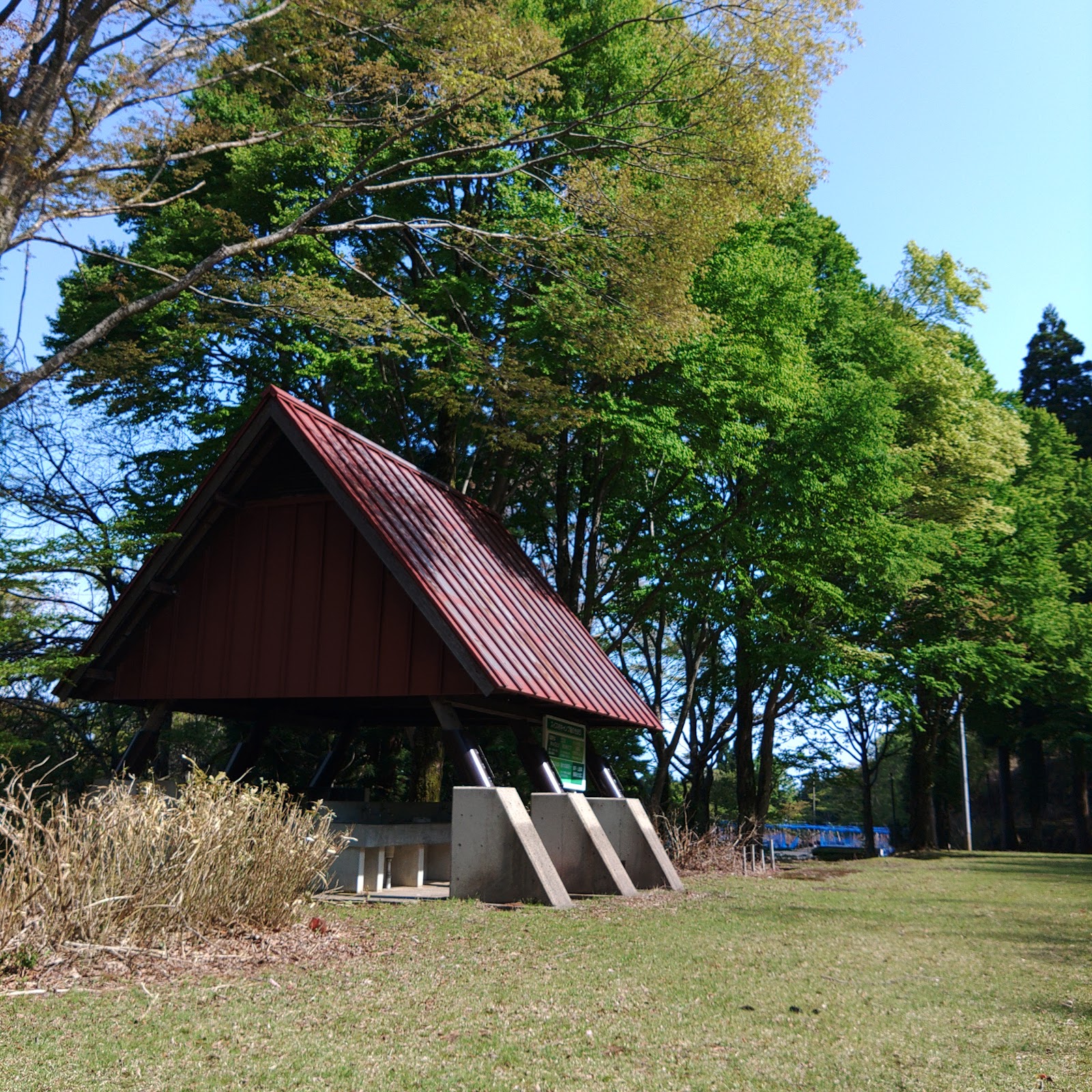 Kyoutango Shinrin Park Suisu Mura Dai1Kyappu Ba