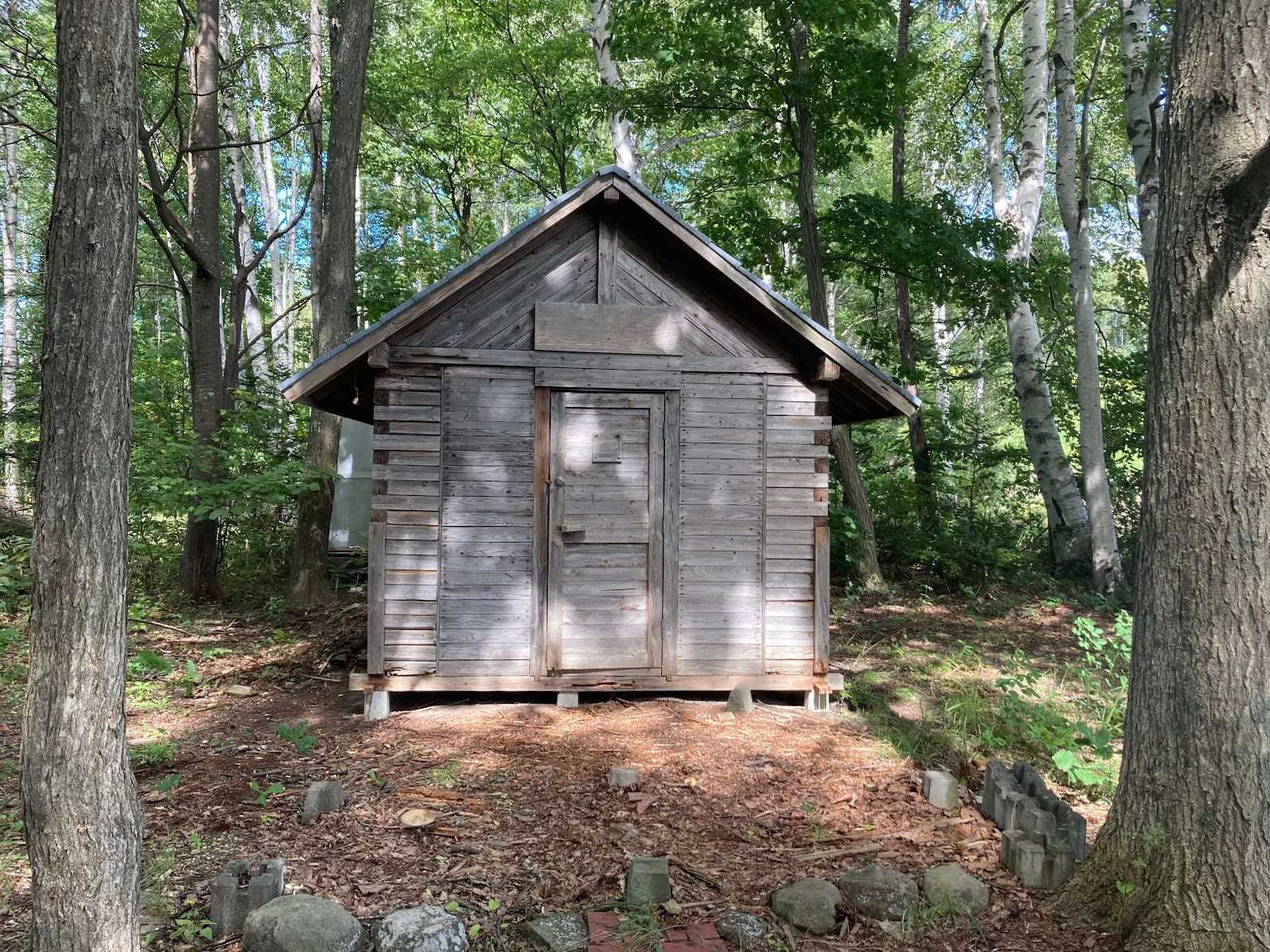 Rentarin Asahikawashi Saishin Raku Eria Sanrin Rentarusaabisu