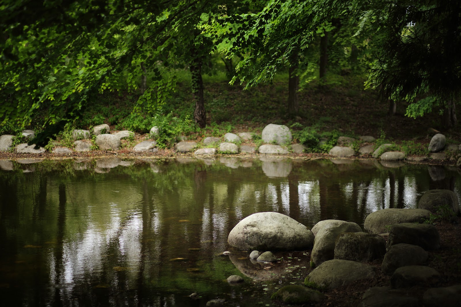 Rừng Midorino Shounendan