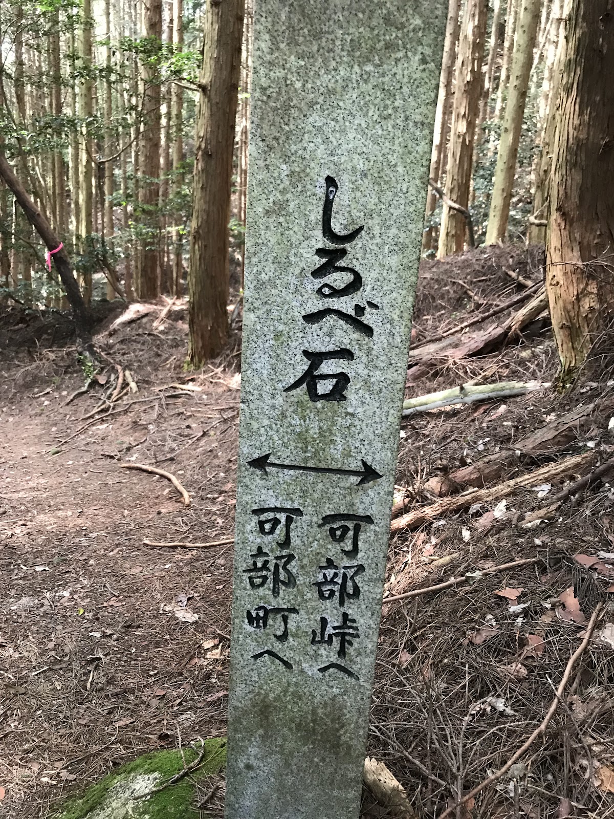 Nanbara Kyou Dai2 Campground Kanmuriyama Tozanguchi