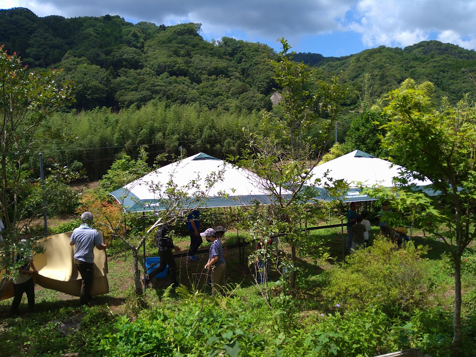 聖愛竜神ベース（SEIAI Ryujin BASE）