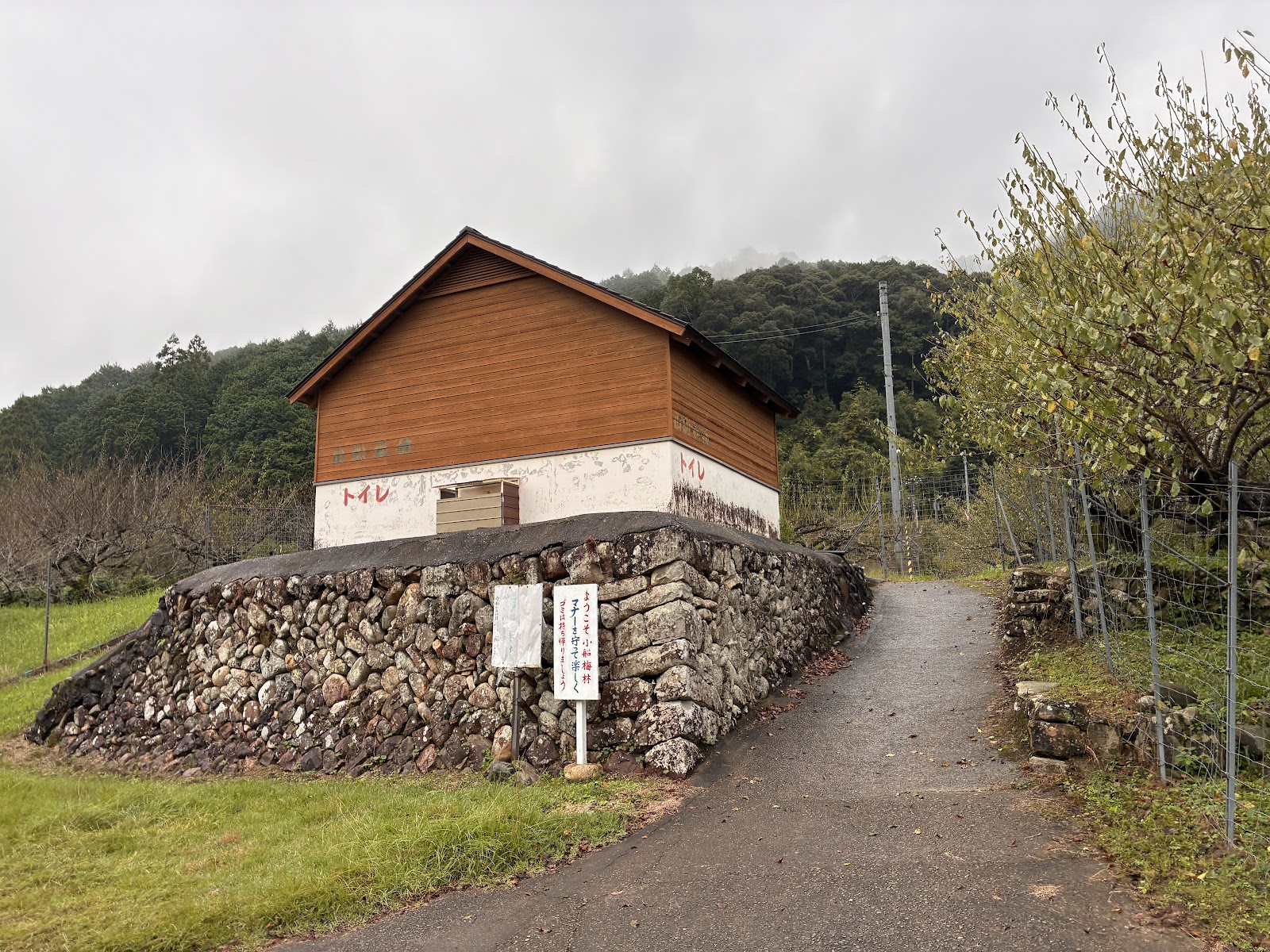 Khu cắm trại Obune