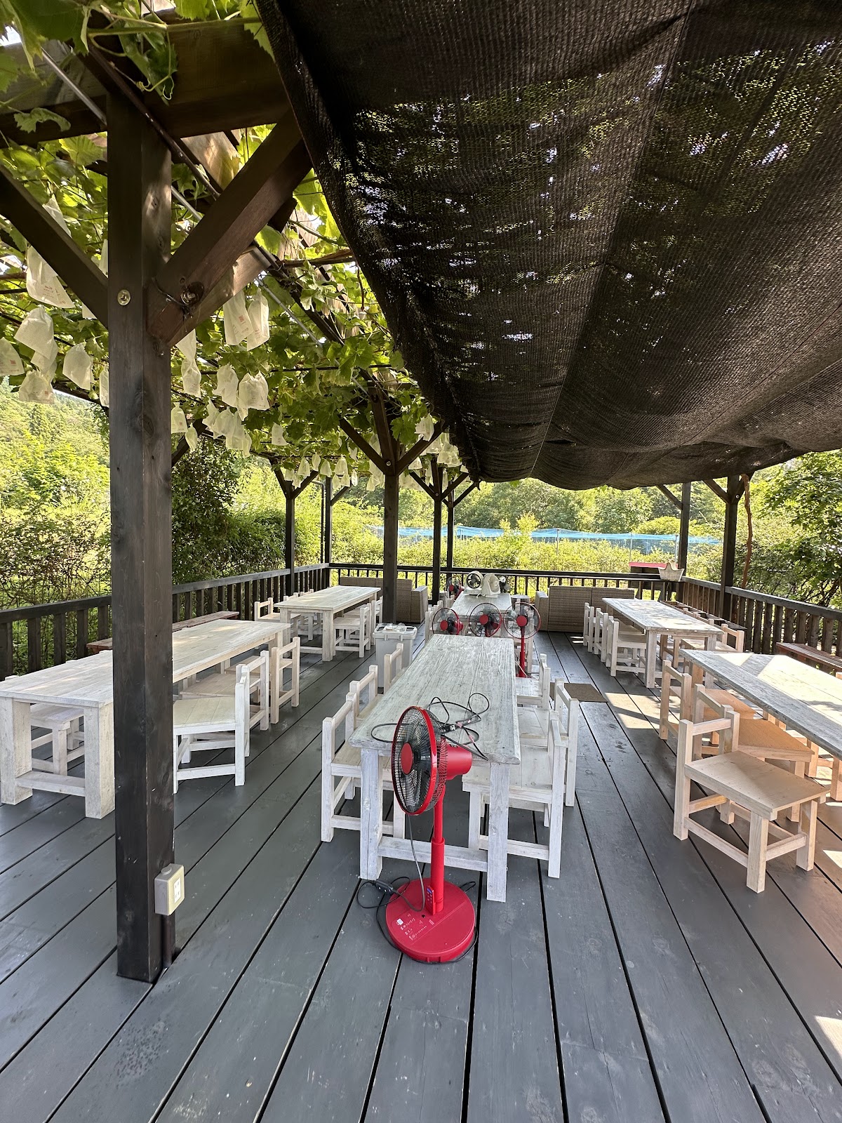 Buruuberii No Oka Hopi